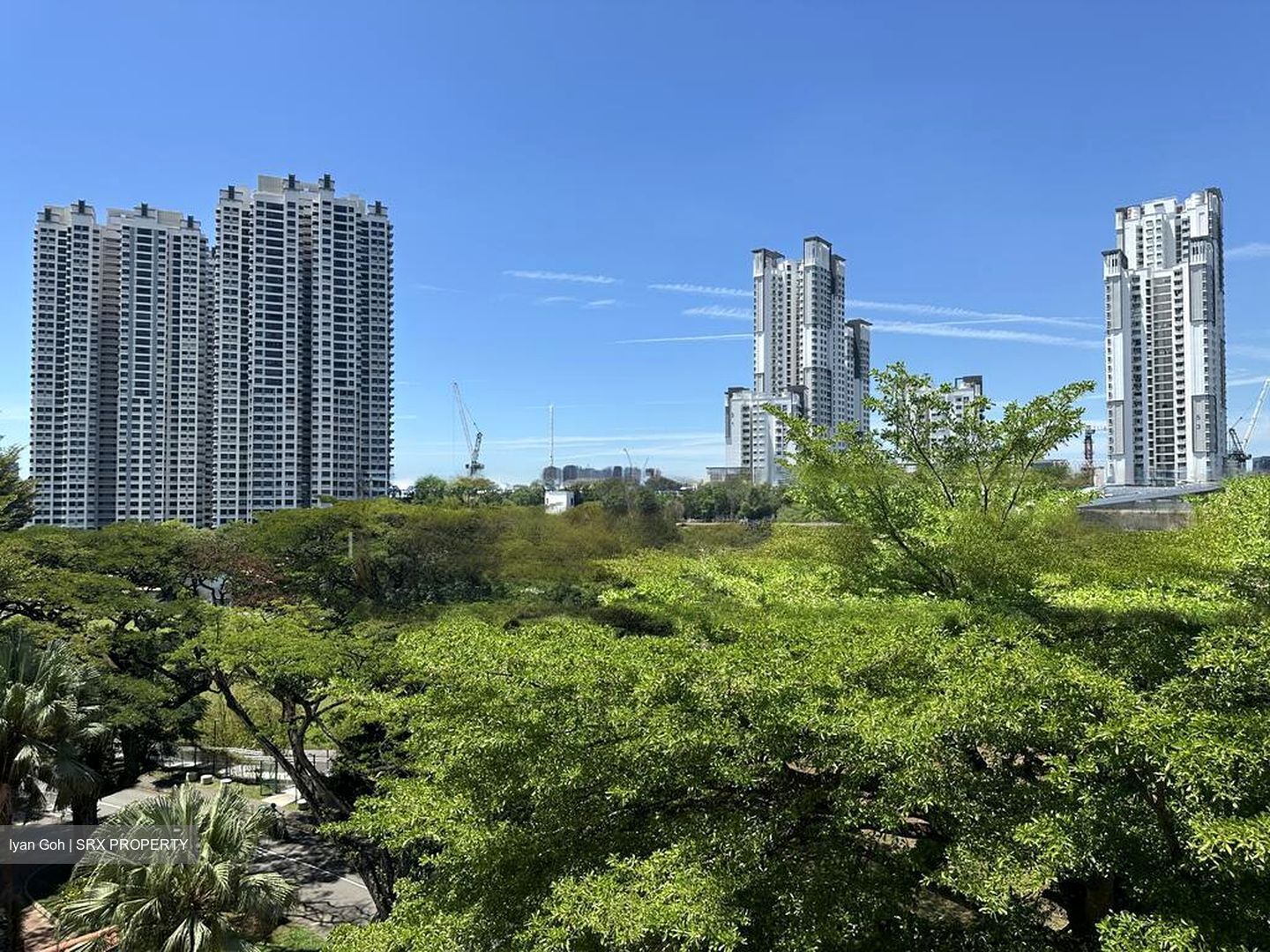 Blk 85 Commonwealth Heights (Queenstown), HDB 3 Rooms #496810061